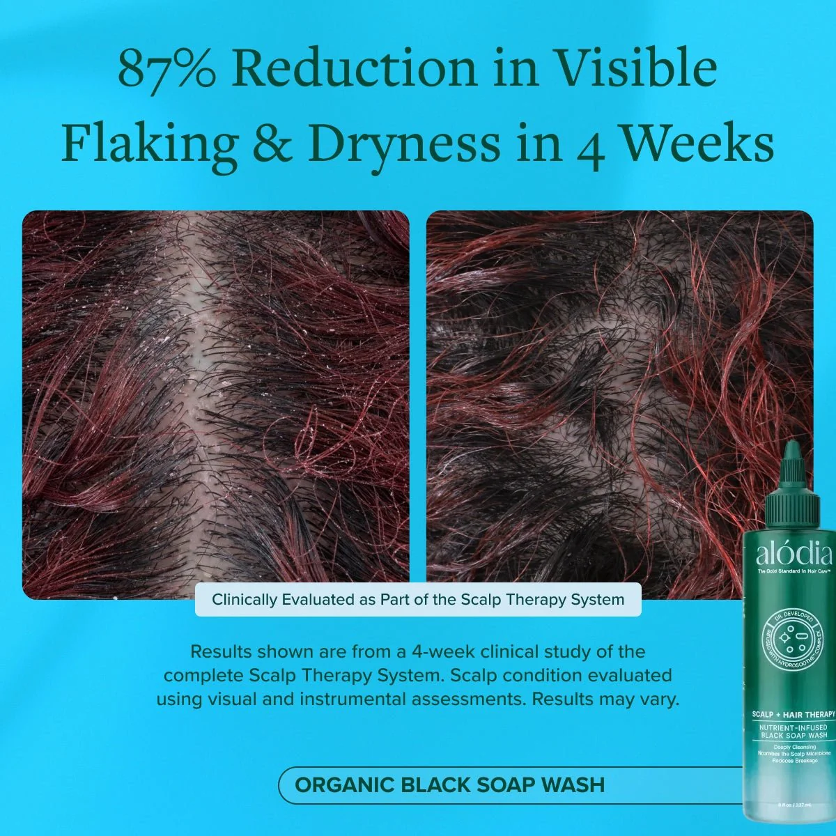 Nutrient Infused Organic Black Soap Wash - Image 6